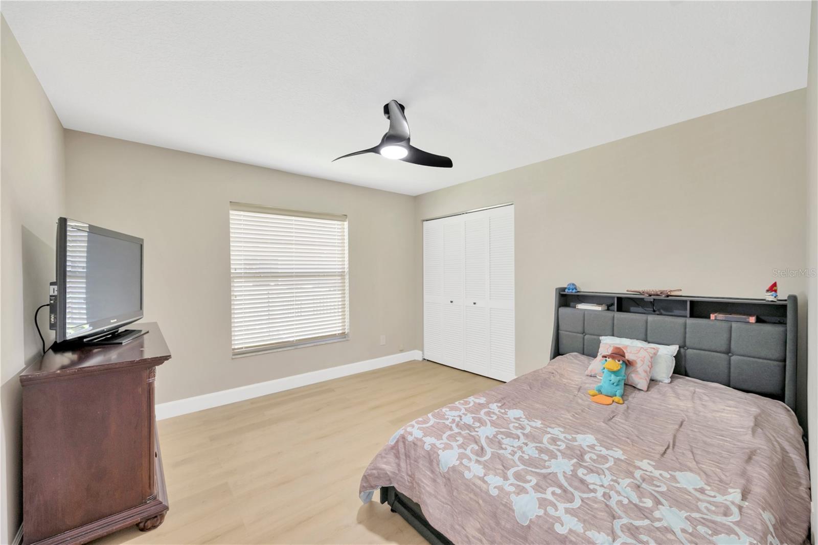 4617 BASSWOOD ST NE, LAND O LAKES, FL, 34639