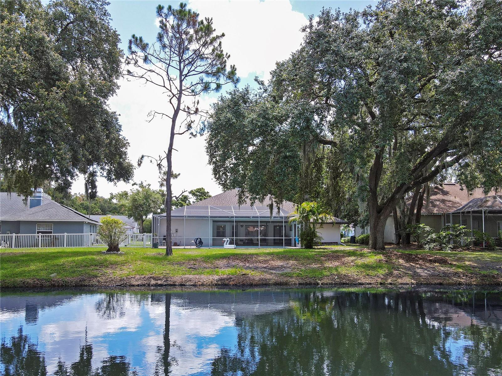 4617 BASSWOOD ST NE, LAND O LAKES, FL, 34639