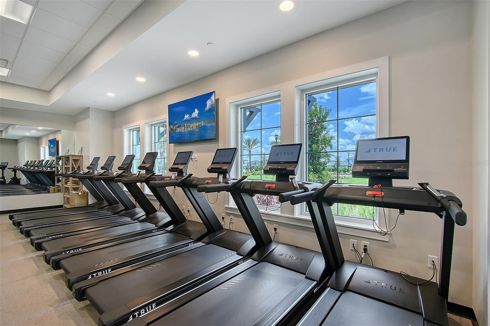 17473 HAYSACK TER, LAKEWOOD RANCH, FL, 34211