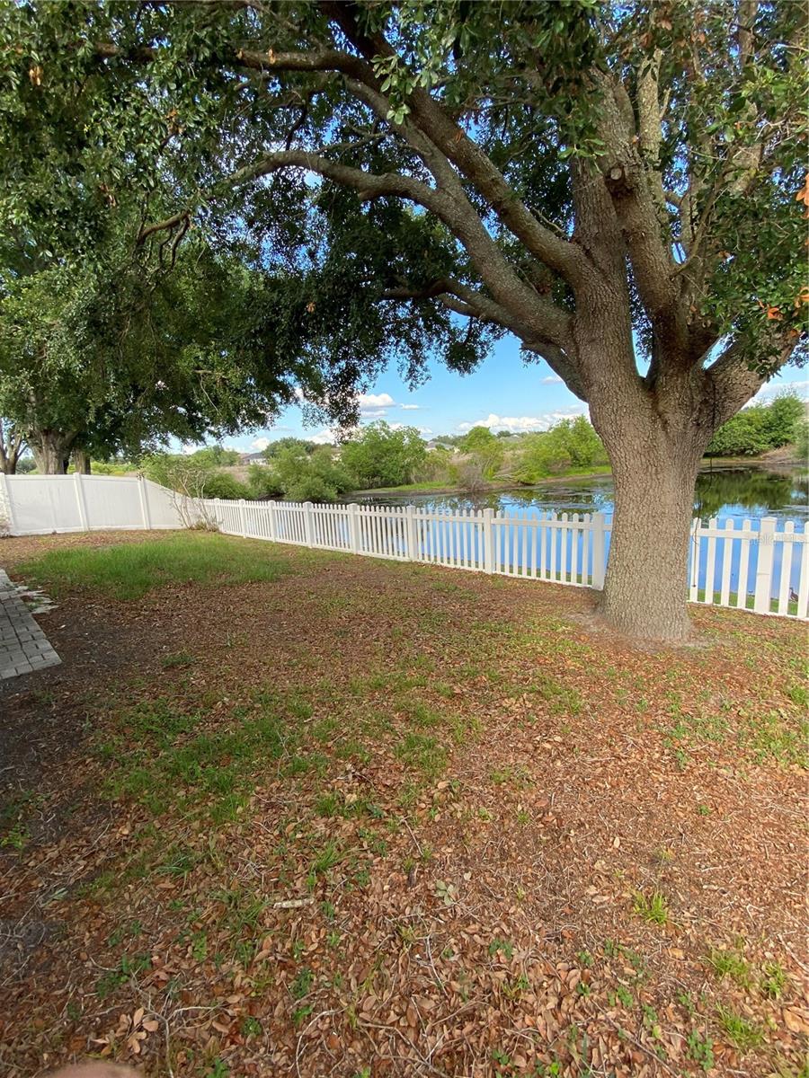 1302 AVONWOOD CT, LUTZ, FL, 33559