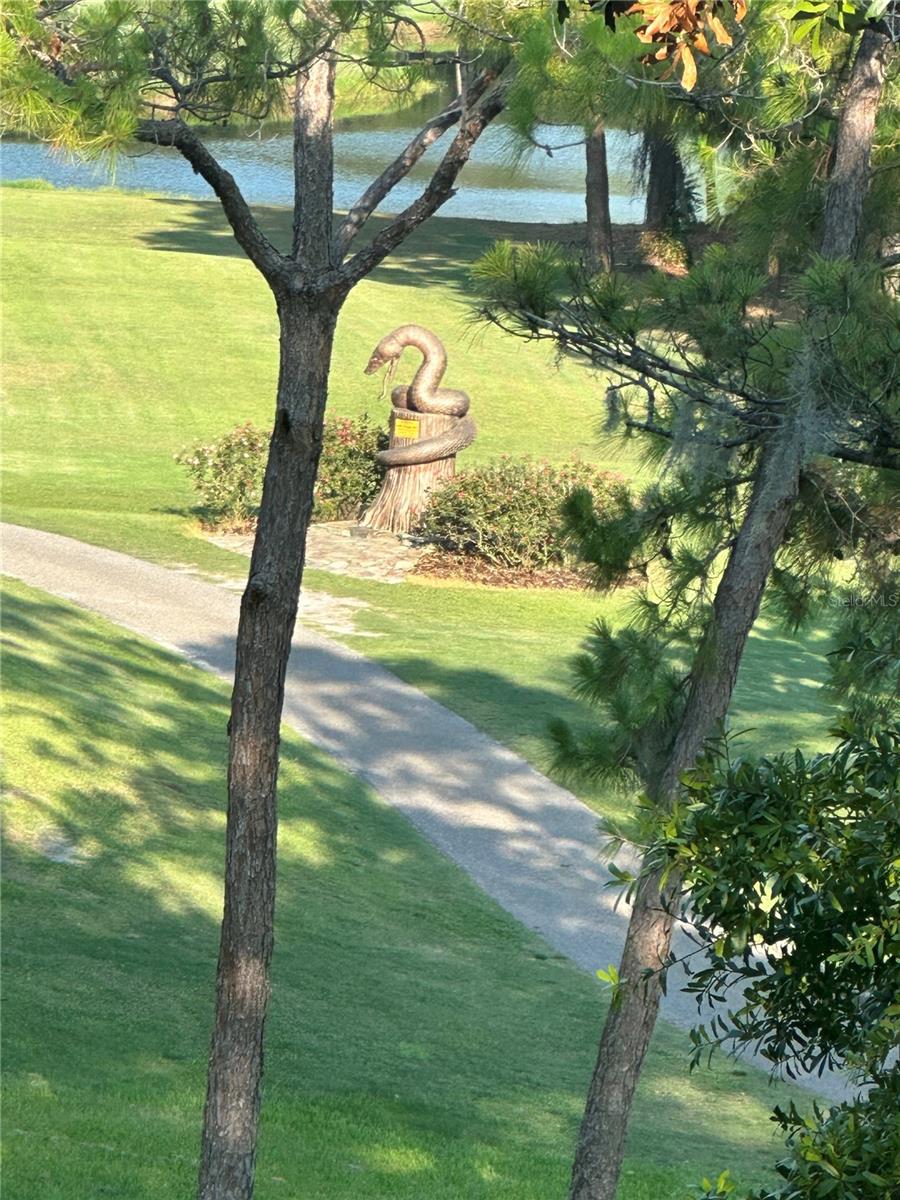 36750 US 19 N #13-310, PALM HARBOR, FL, 34684