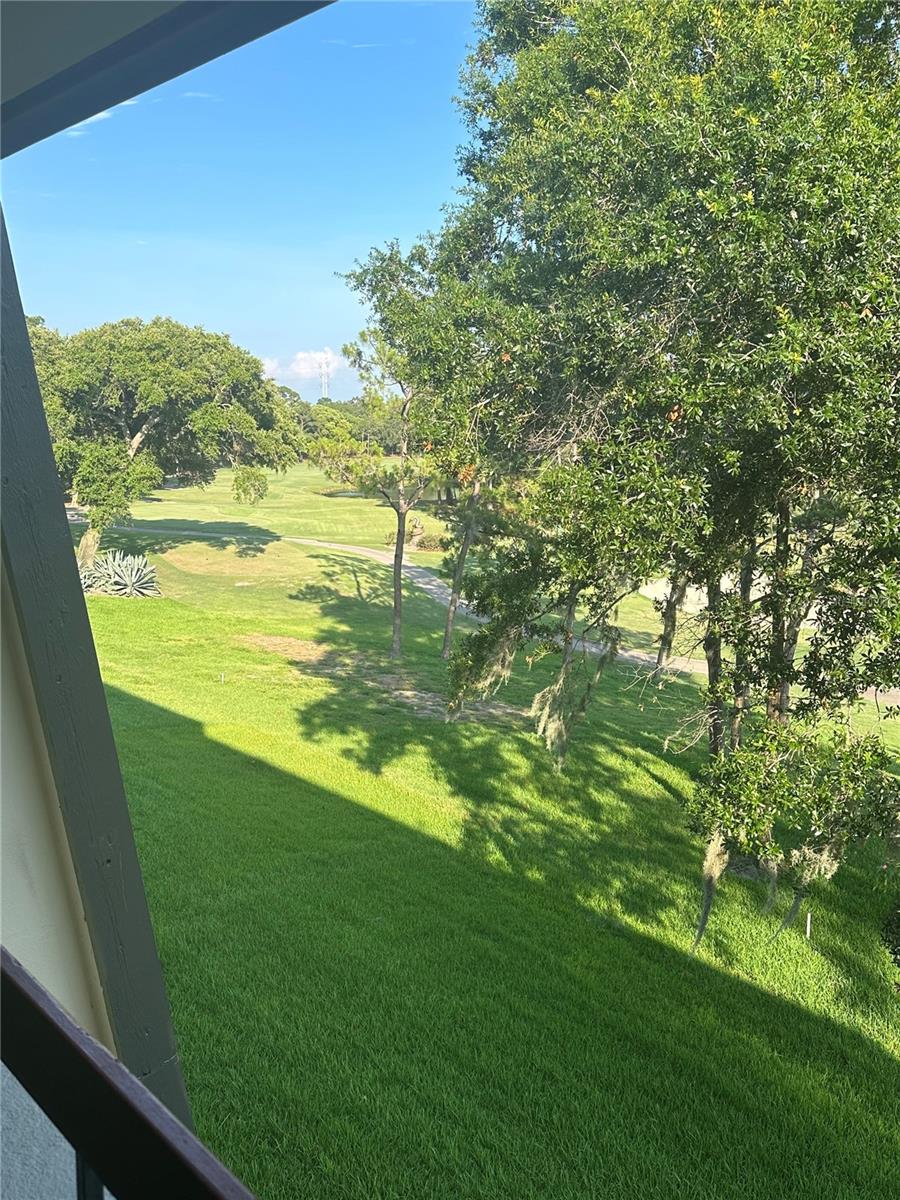 36750 US 19 N #13-310, PALM HARBOR, FL, 34684