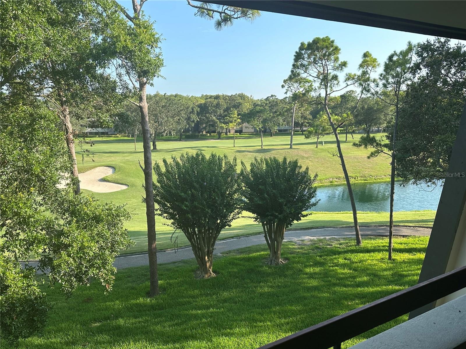 36750 US 19 N #13-310, PALM HARBOR, FL, 34684