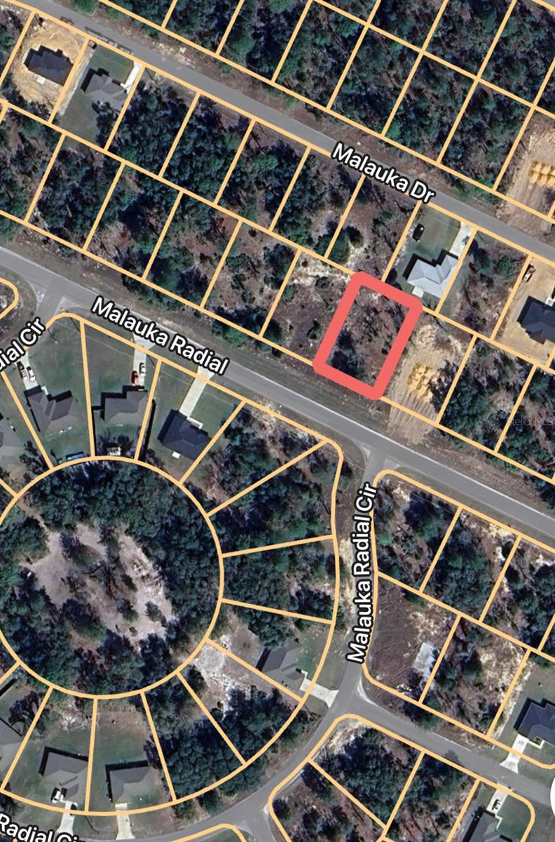 0 MALAUKA RADL #6, OCKLAWAHA, FL, 32179