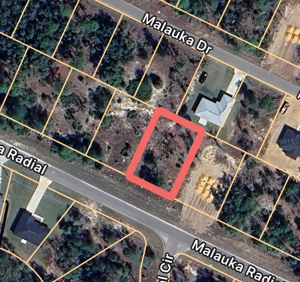 0 MALAUKA RADL #6, OCKLAWAHA, FL, 32179