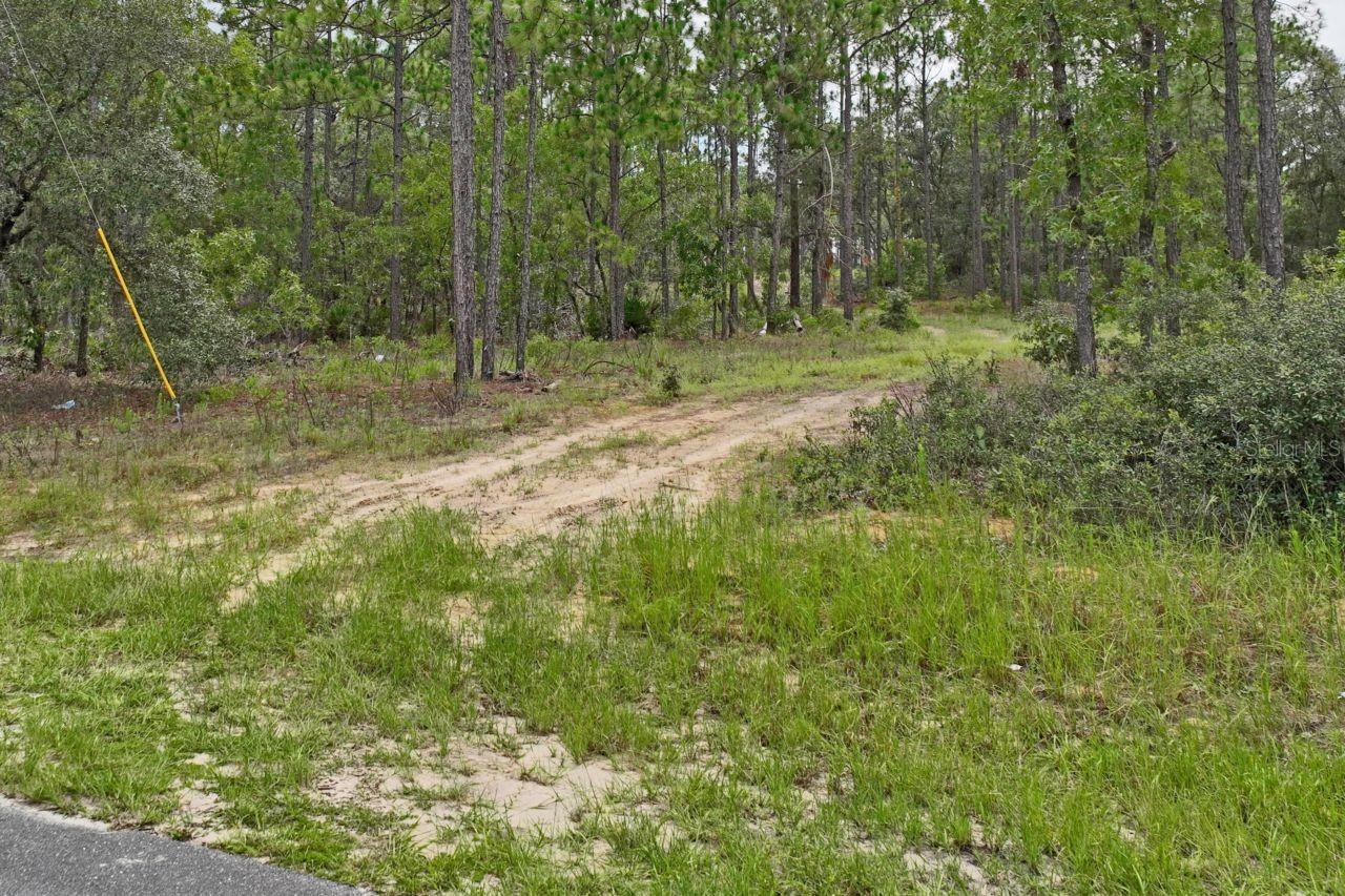 9452 N PARADISEA DR, CITRUS SPRINGS, FL, 34433