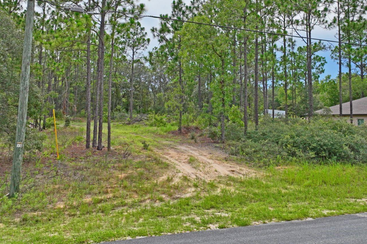 9452 N PARADISEA DR, CITRUS SPRINGS, FL, 34433