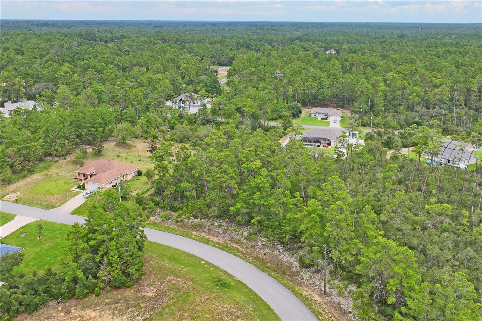 8541 N NEWMARK WAY, DUNNELLON, FL, 34433