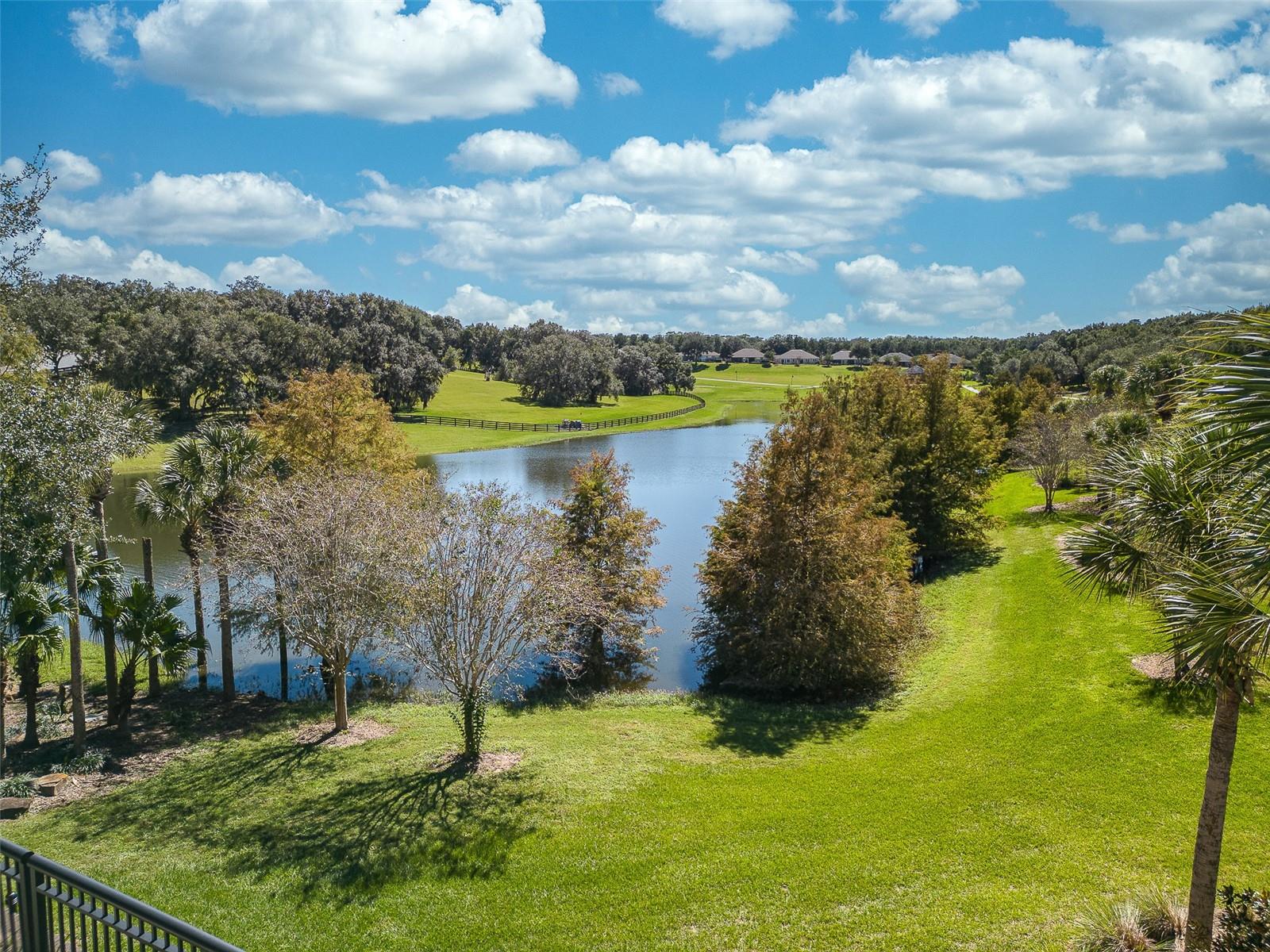 30304 CHEVAL ST, MOUNT DORA, FL, 32757