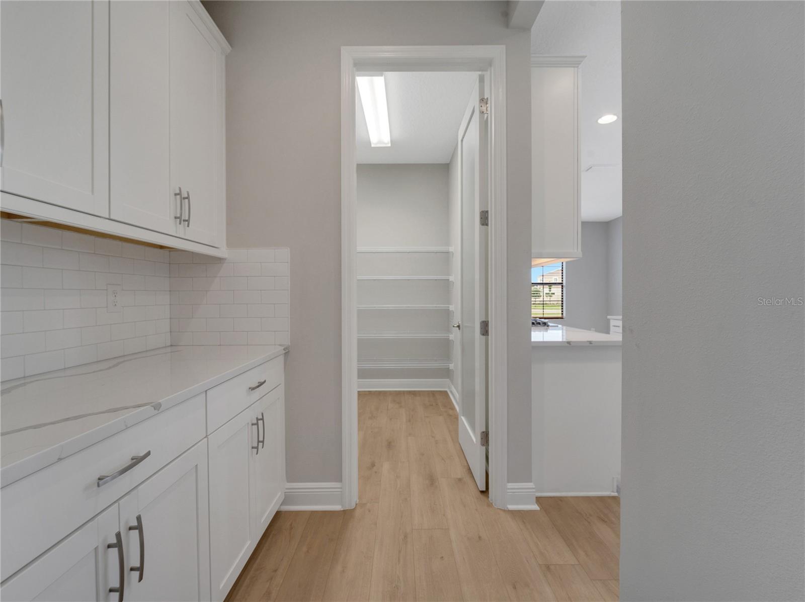 14825 PADDOCK POND AVE, LITHIA, FL, 33547