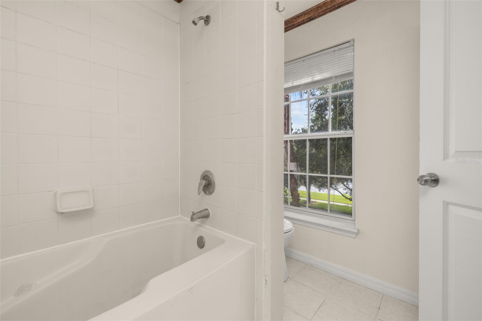 1042 WATERSIDE DR, CELEBRATION, FL, 34747