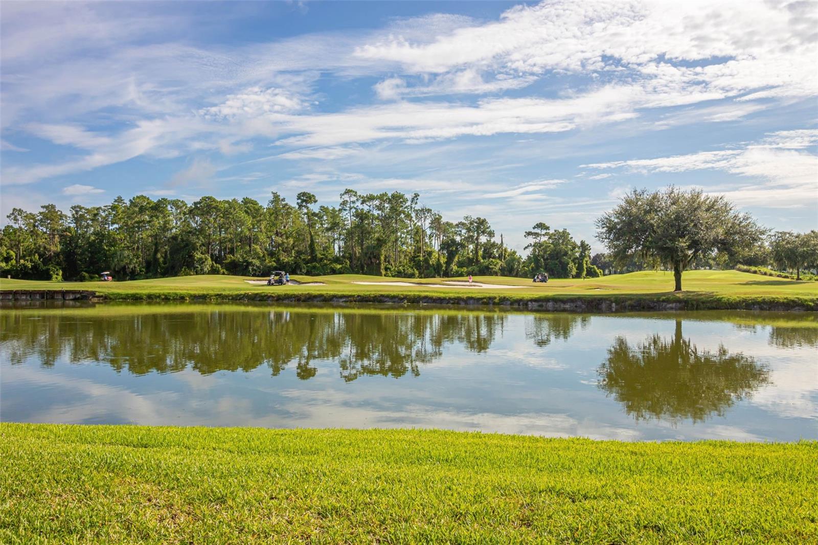 1042 WATERSIDE DR, CELEBRATION, FL, 34747