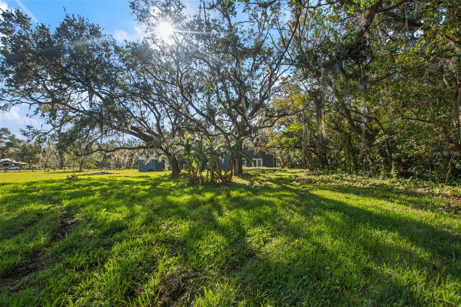 3106 E TRAPNELL RD, PLANT CITY, FL, 33566