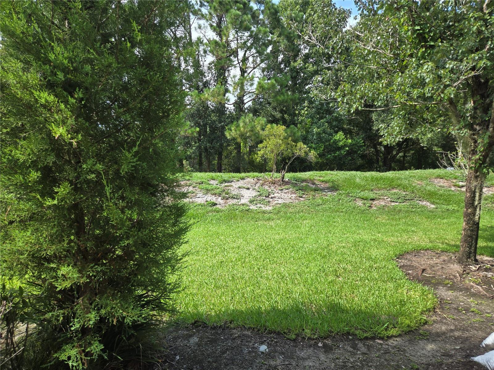 1908 GARDEN SAGE DR, OVIEDO, FL, 32765