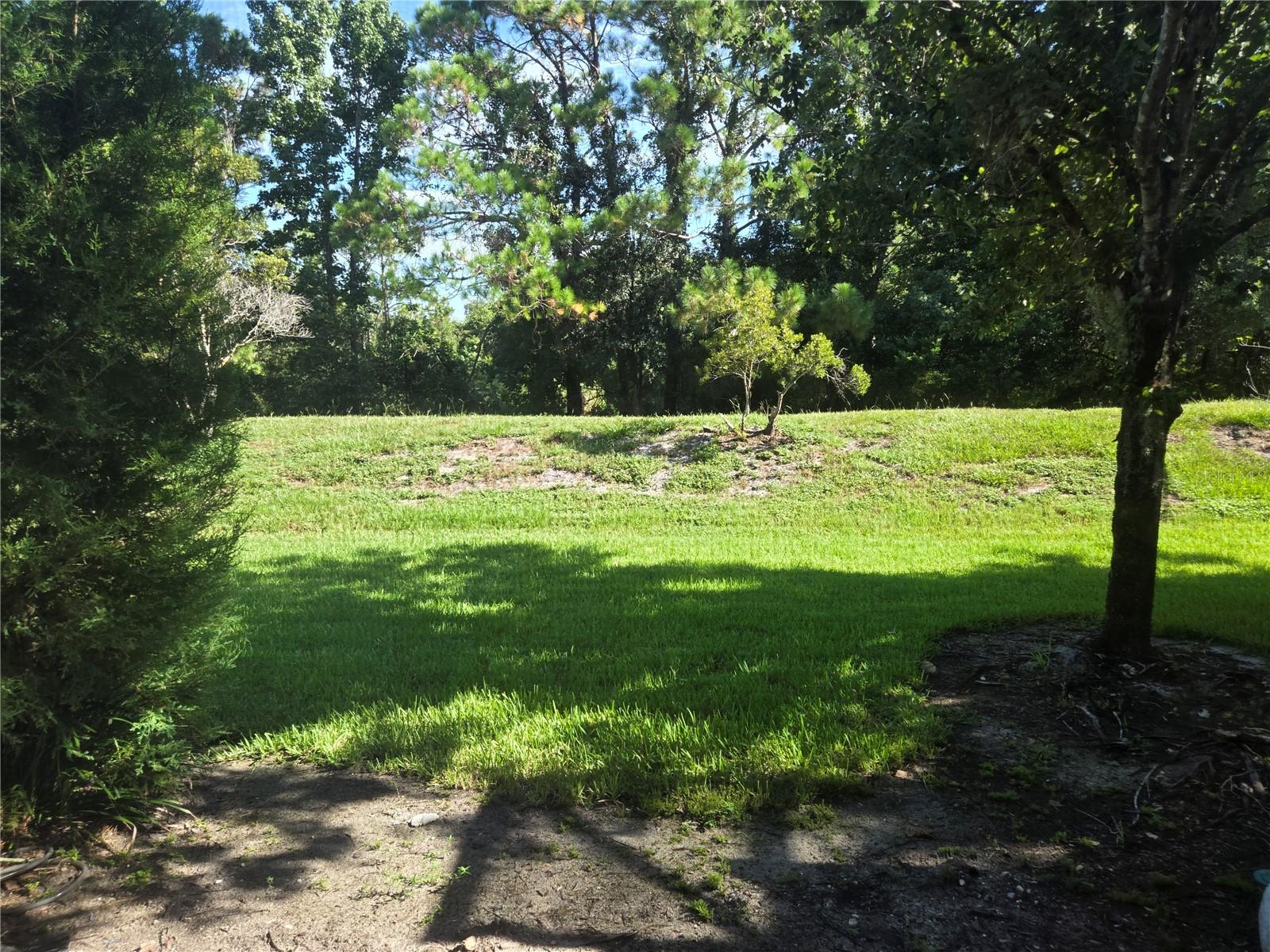 1908 GARDEN SAGE DR, OVIEDO, FL, 32765