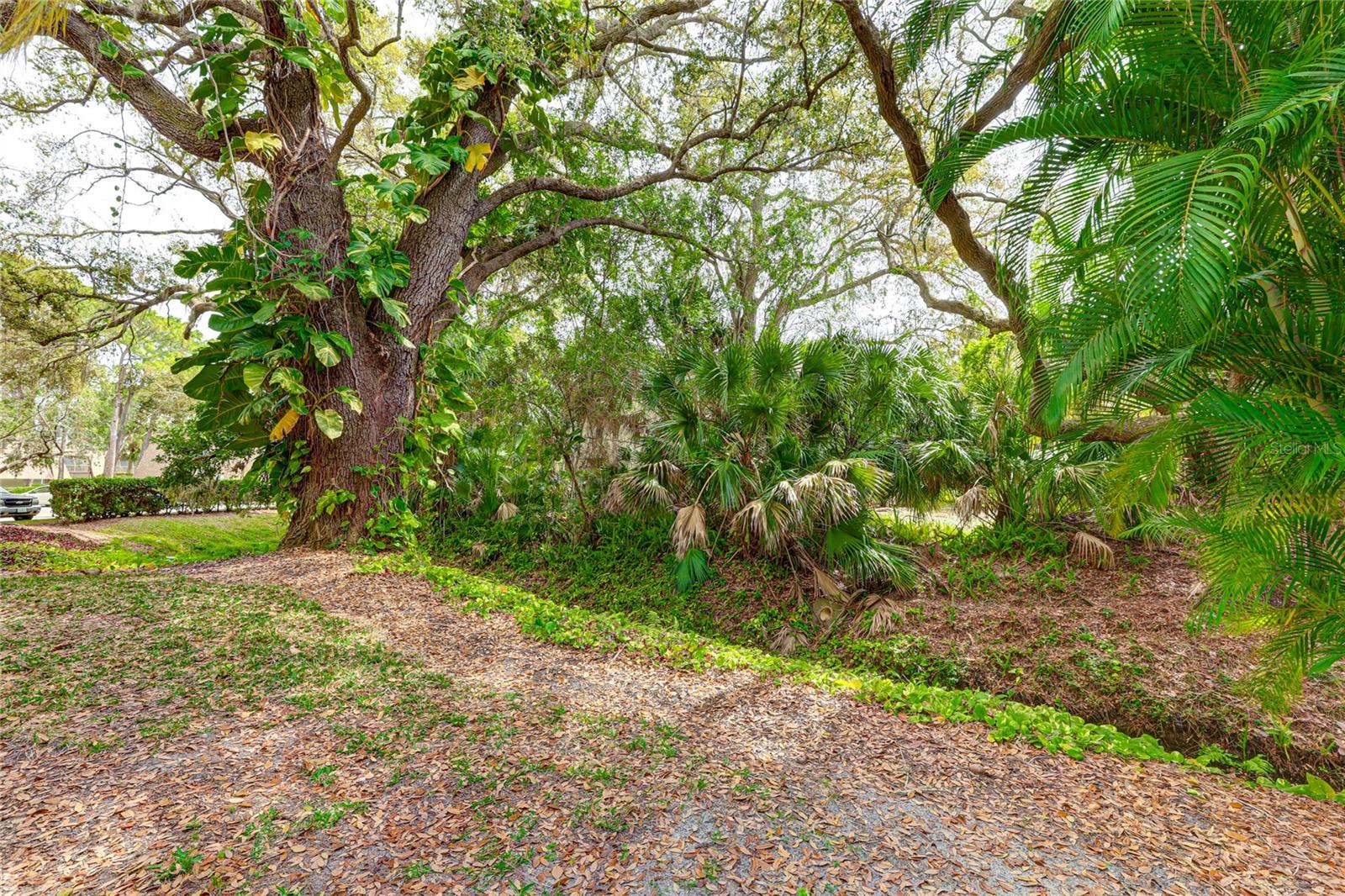 4576 RINGWOOD MDW #5, SARASOTA, FL, 34235