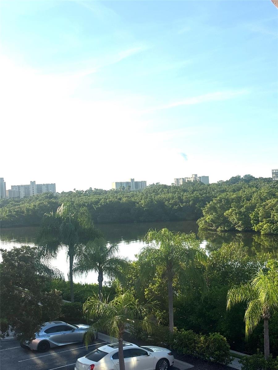 2713 VIA MURANO #234, CLEARWATER, FL, 33764