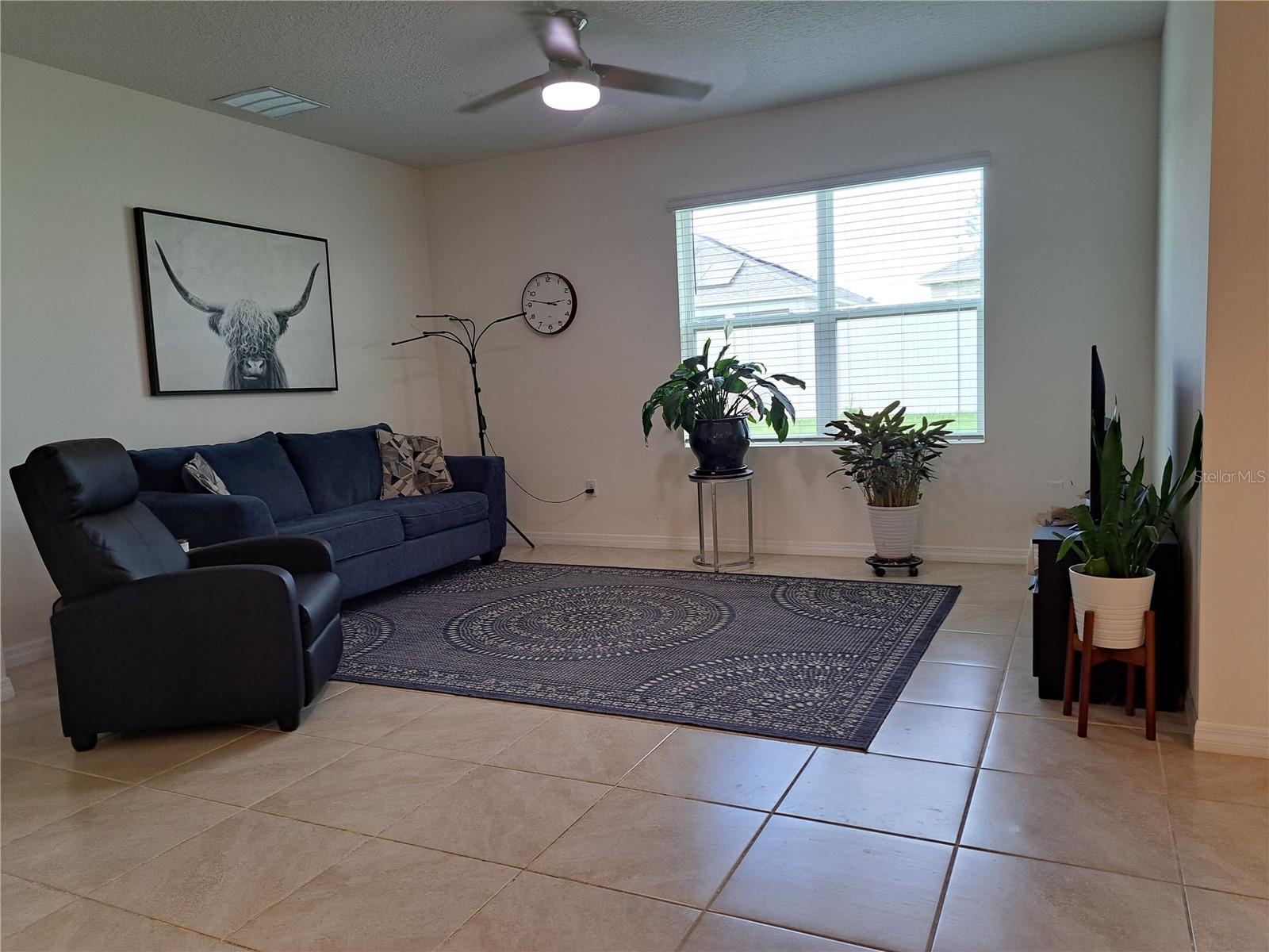 11356 AMBER RIDGE DR, ZELLWOOD, FL, 32798