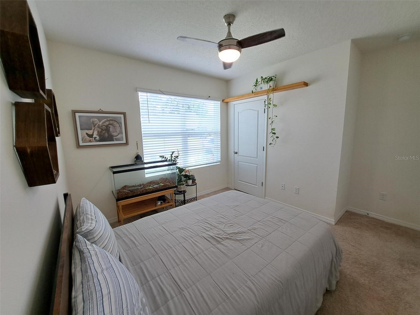 11356 AMBER RIDGE DR, ZELLWOOD, FL, 32798