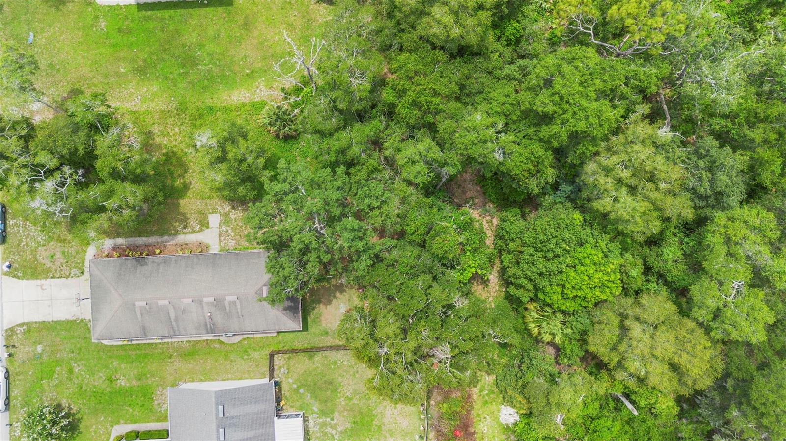 1051 SPRINGBANK AVE, ORANGE CITY, FL, 32763