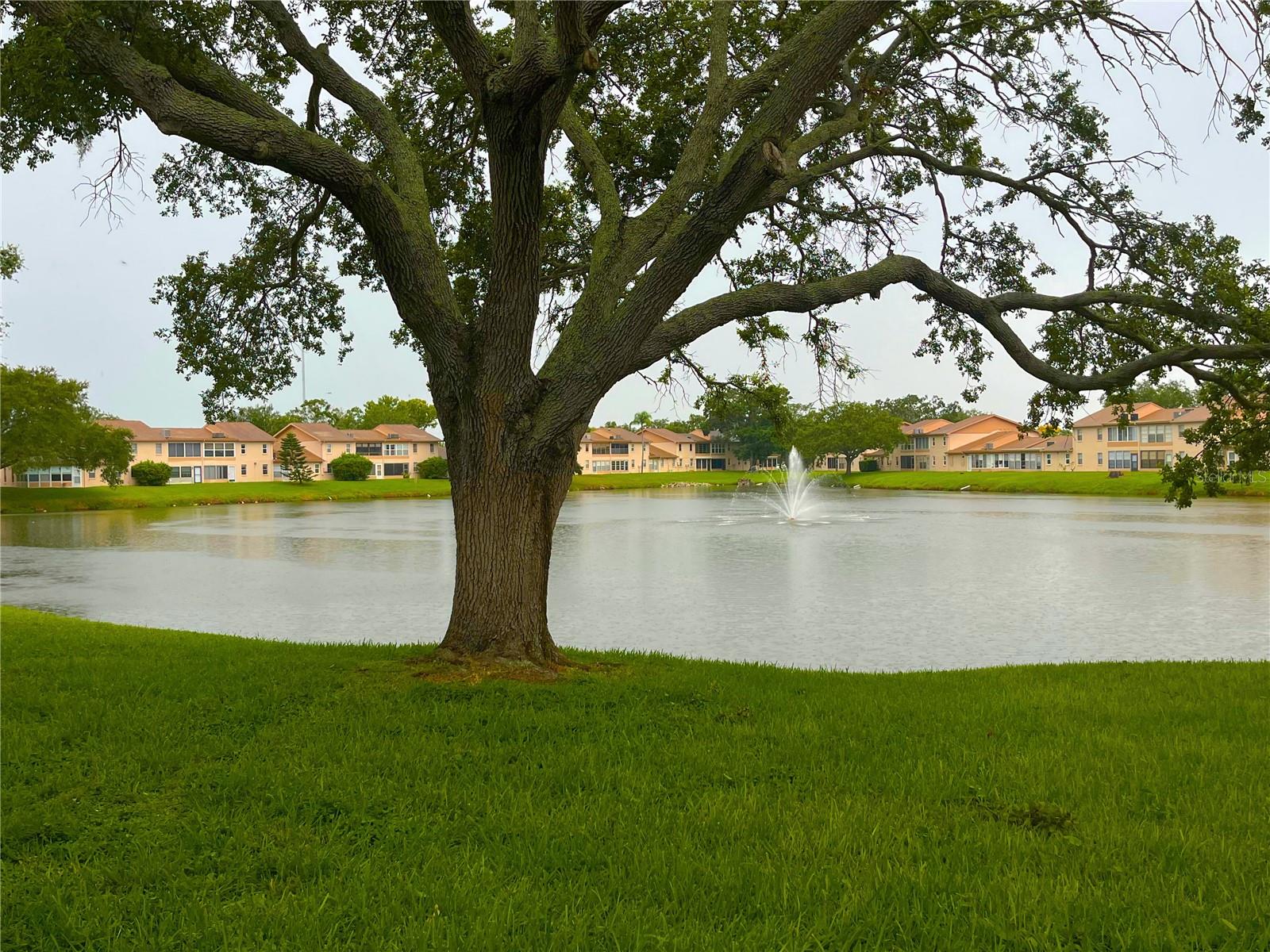 3835 SAILMAKER LN, HOLIDAY, FL, 34691