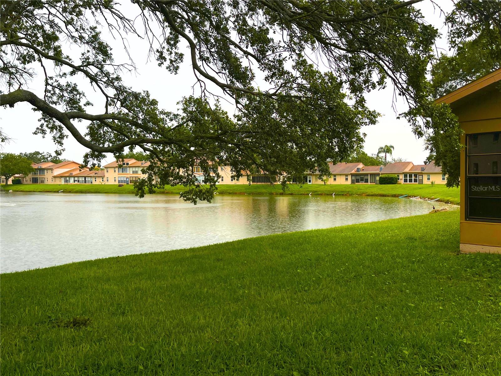 3835 SAILMAKER LN, HOLIDAY, FL, 34691