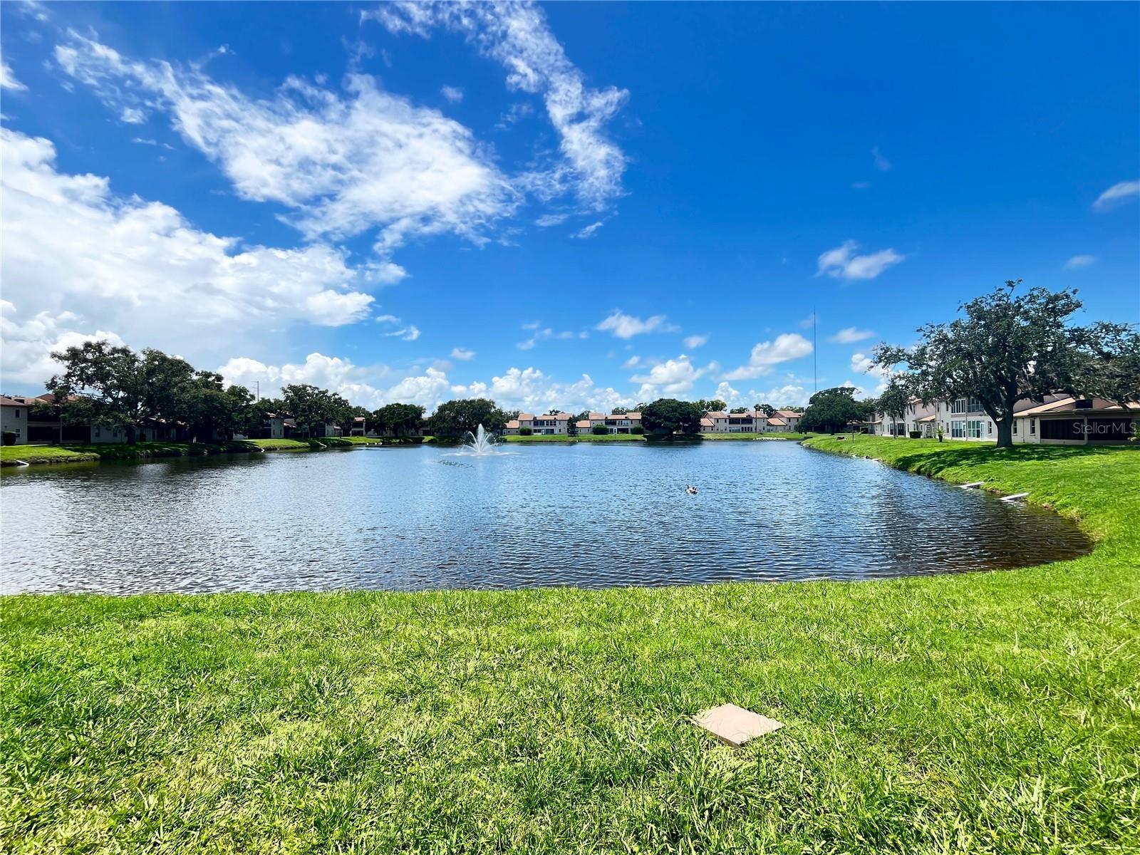 3835 SAILMAKER LN, HOLIDAY, FL, 34691