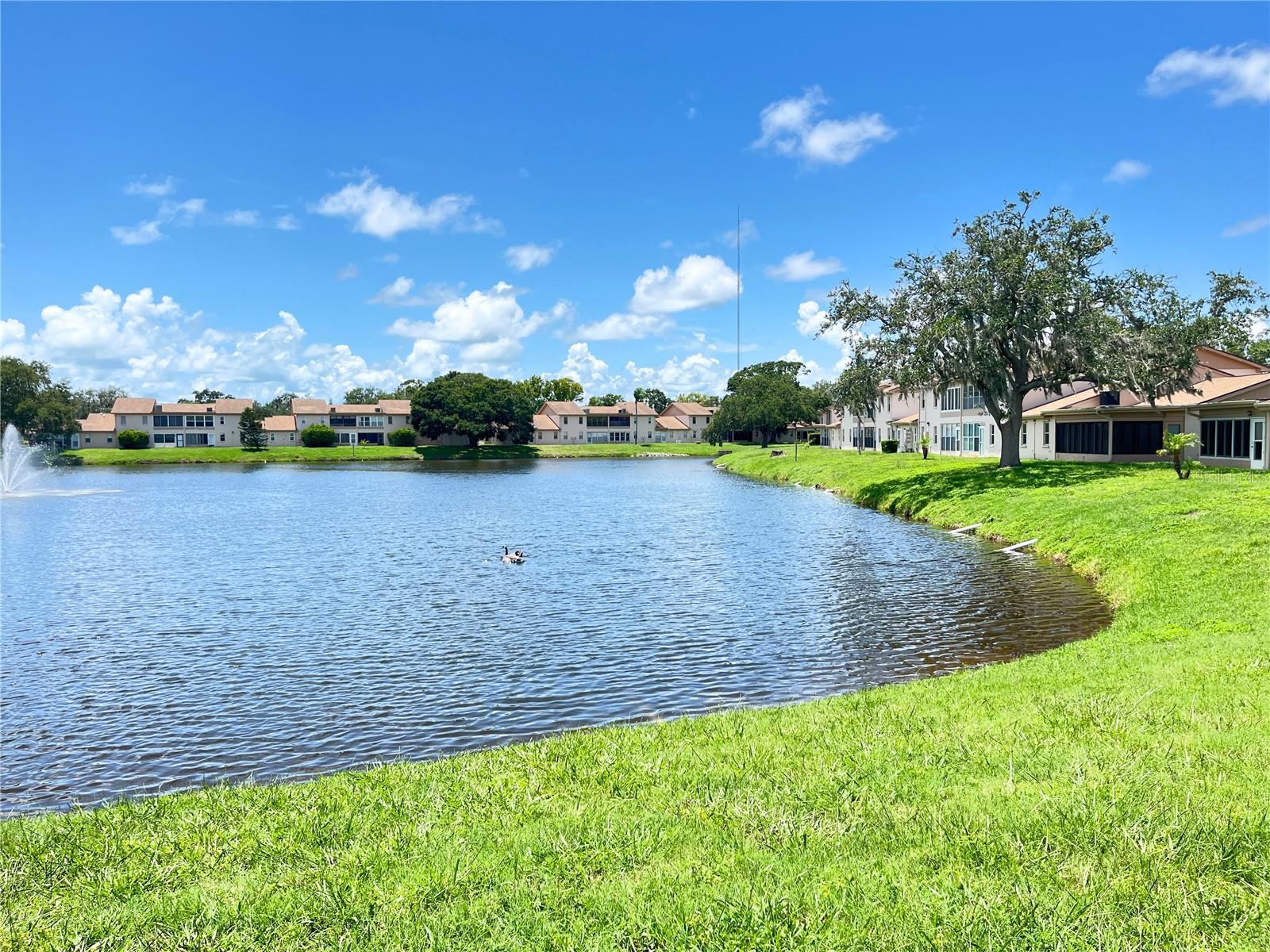 3835 SAILMAKER LN, HOLIDAY, FL, 34691