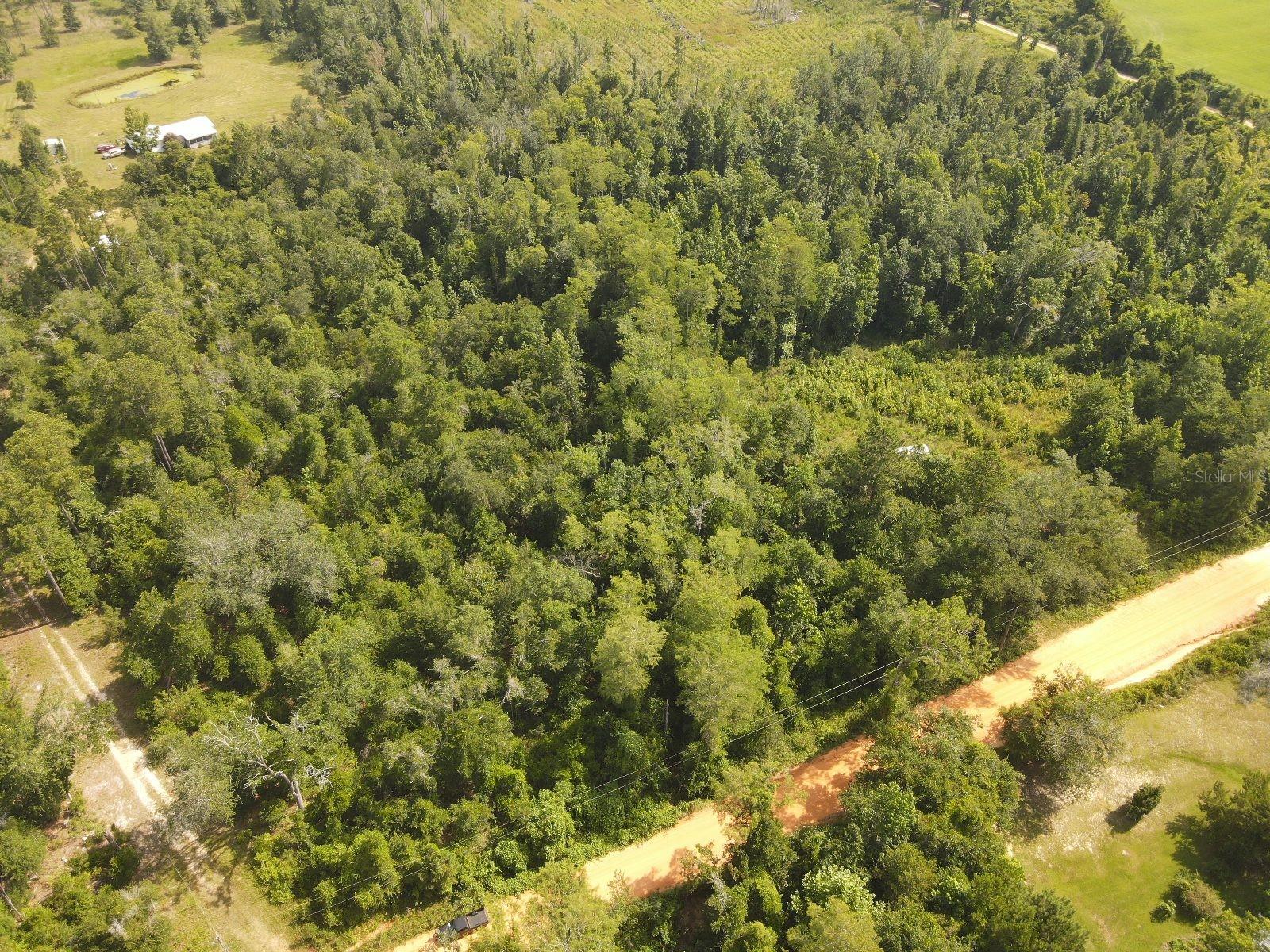 SCOTT CHURCH RD, MARIANNA, FL, 32448