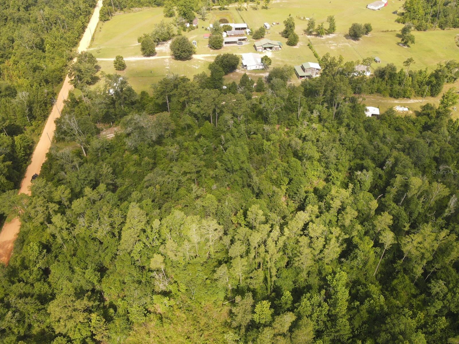 SCOTT CHURCH RD, MARIANNA, FL, 32448