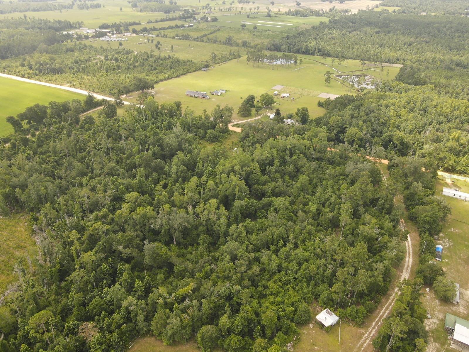 SCOTT CHURCH RD, MARIANNA, FL, 32448