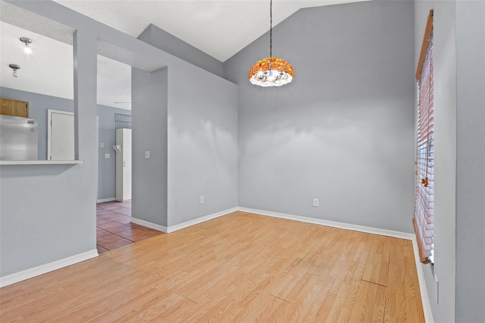 12808 DUNHILL DR, TAMPA, FL, 33624