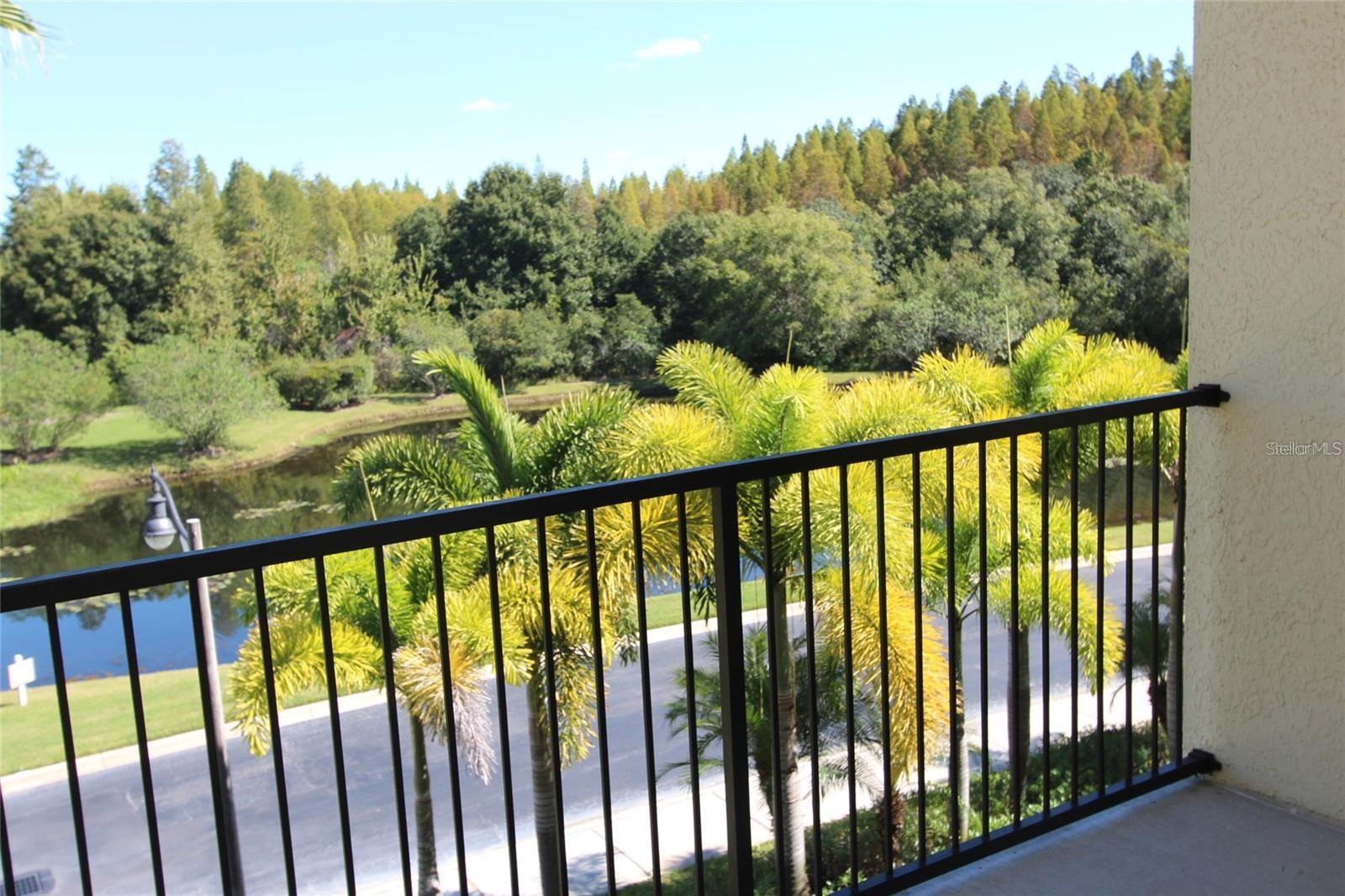 14905 ARBOR SPRINGS CIR #314, TAMPA, FL, 33624