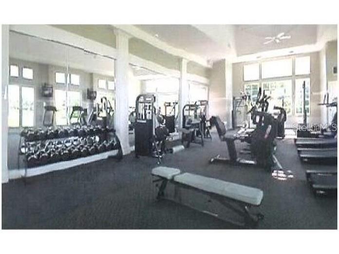 14905 ARBOR SPRINGS CIR #314, TAMPA, FL, 33624