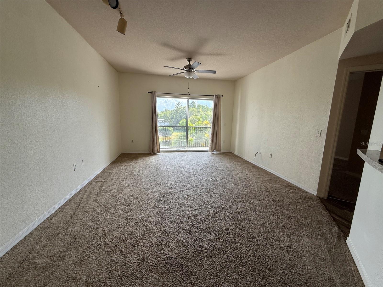 14905 ARBOR SPRINGS CIR #314, TAMPA, FL, 33624