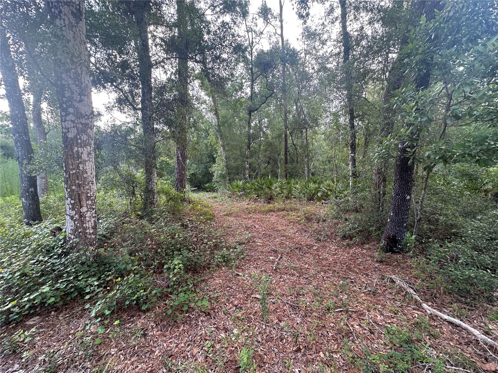 14347 OLD HUNTER RD, BROOKSVILLE, FL, 34601