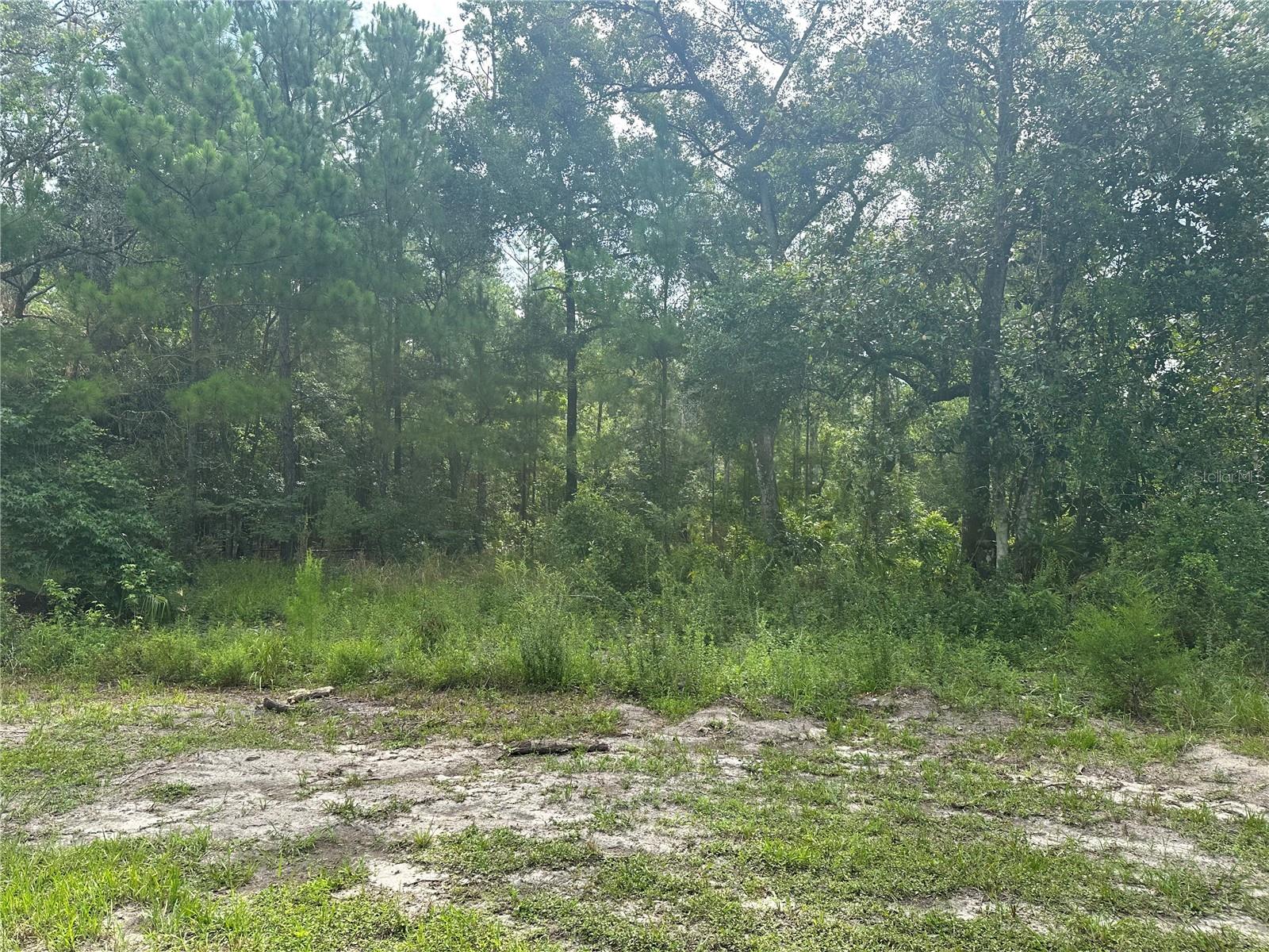 14347 OLD HUNTER RD, BROOKSVILLE, FL, 34601
