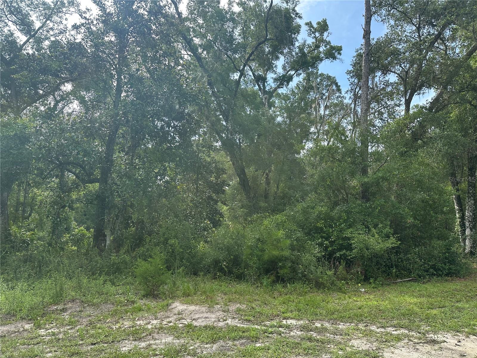 14347 OLD HUNTER RD, BROOKSVILLE, FL, 34601