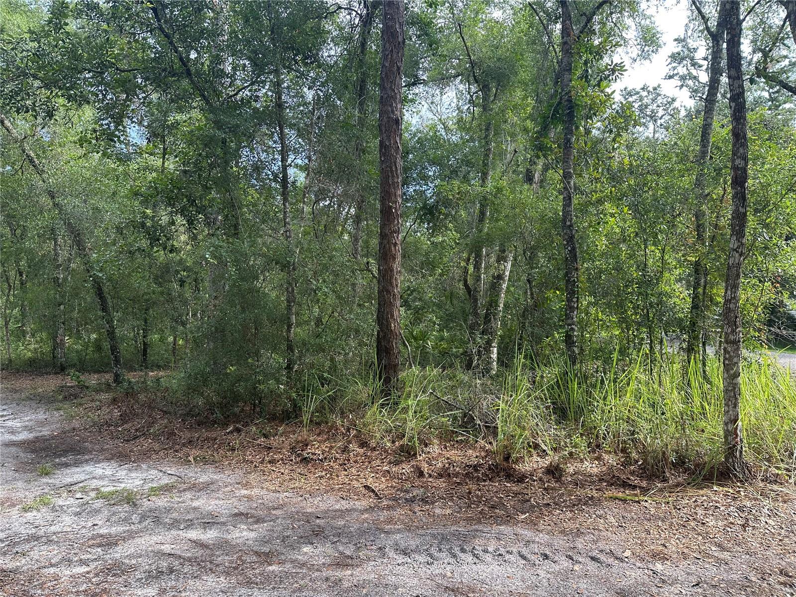 14347 OLD HUNTER RD, BROOKSVILLE, FL, 34601