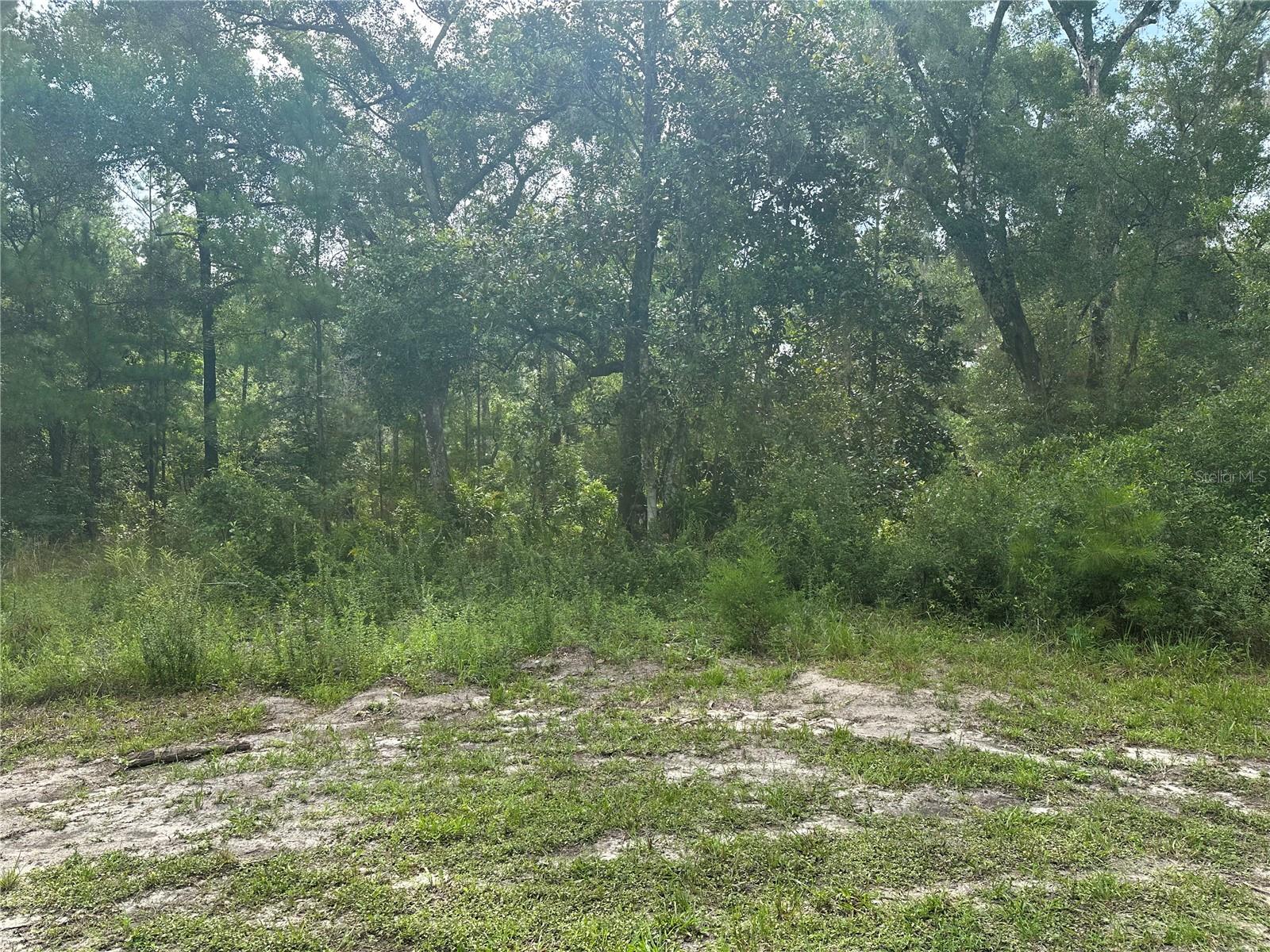 14347 OLD HUNTER RD, BROOKSVILLE, FL, 34601