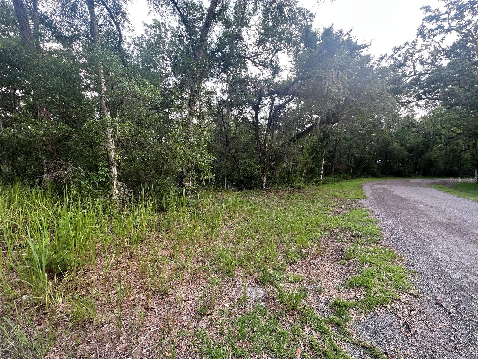 14347 OLD HUNTER RD, BROOKSVILLE, FL, 34601