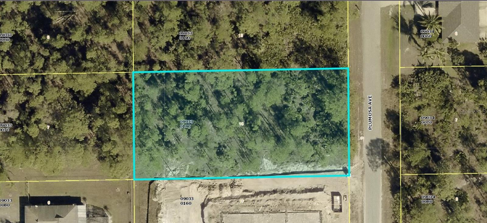 1011 PLUMOSA AVE, LEHIGH ACRES, FL, 33972