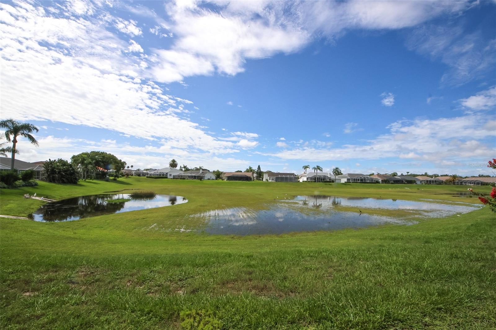 8311 CORAL CREEK LOOP, HUDSON, FL, 34667