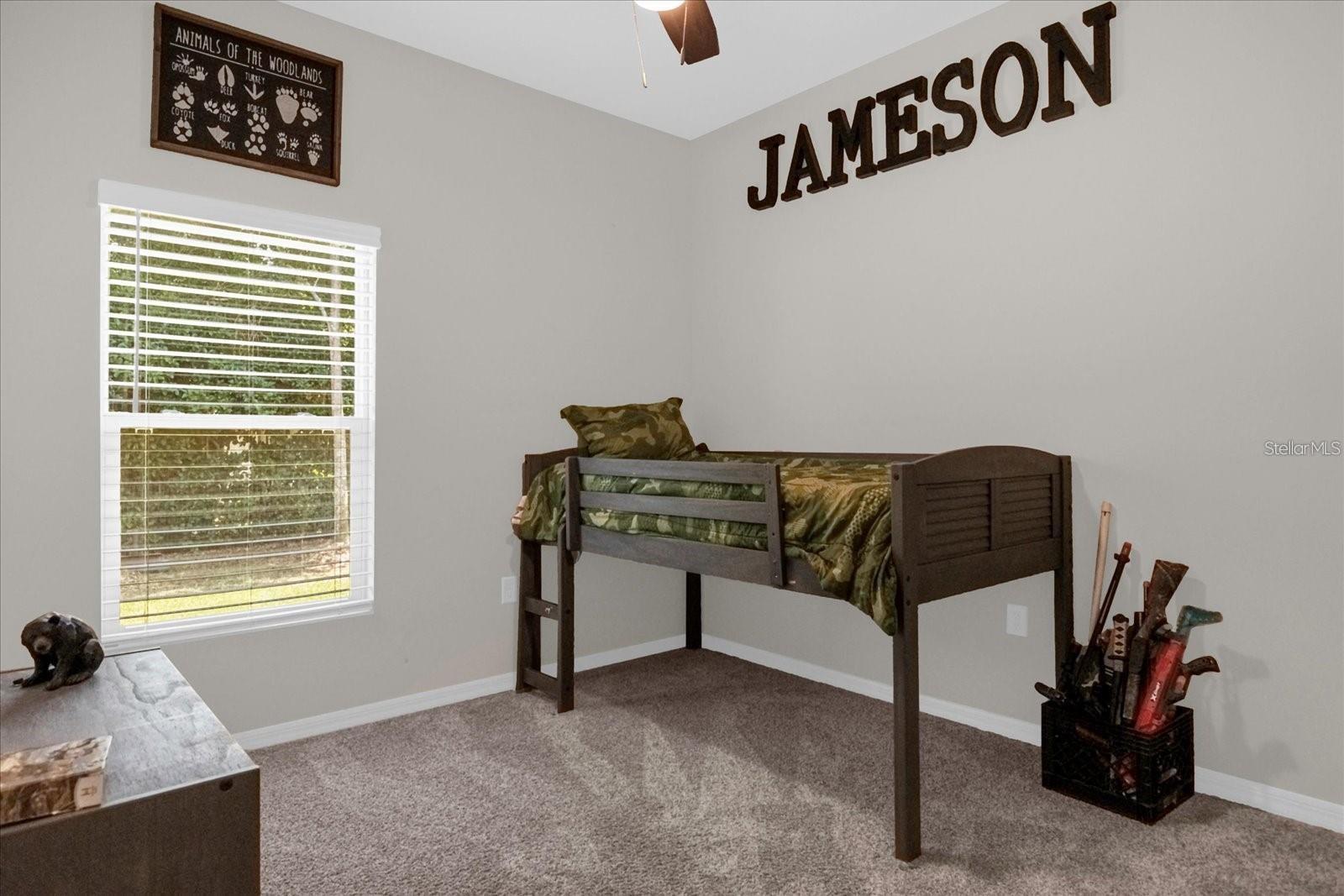 36029 MICHIGAN DR, EUSTIS, FL, 32736