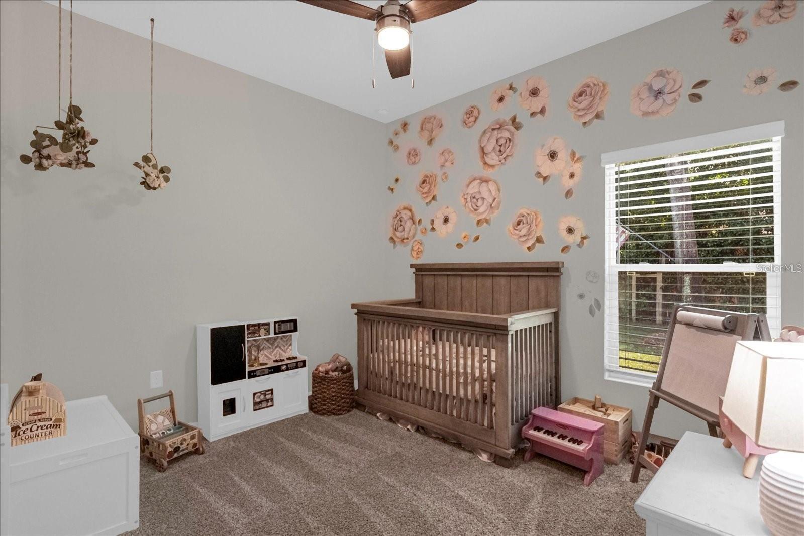 36029 MICHIGAN DR, EUSTIS, FL, 32736