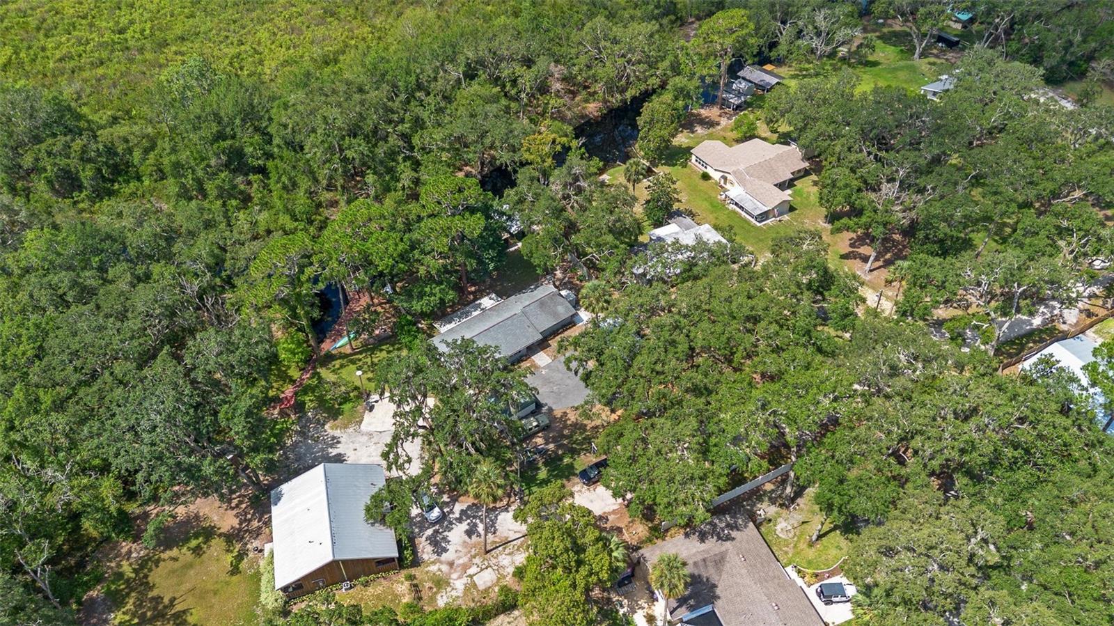 19094 SE 162ND ST, WEIRSDALE, FL, 32195