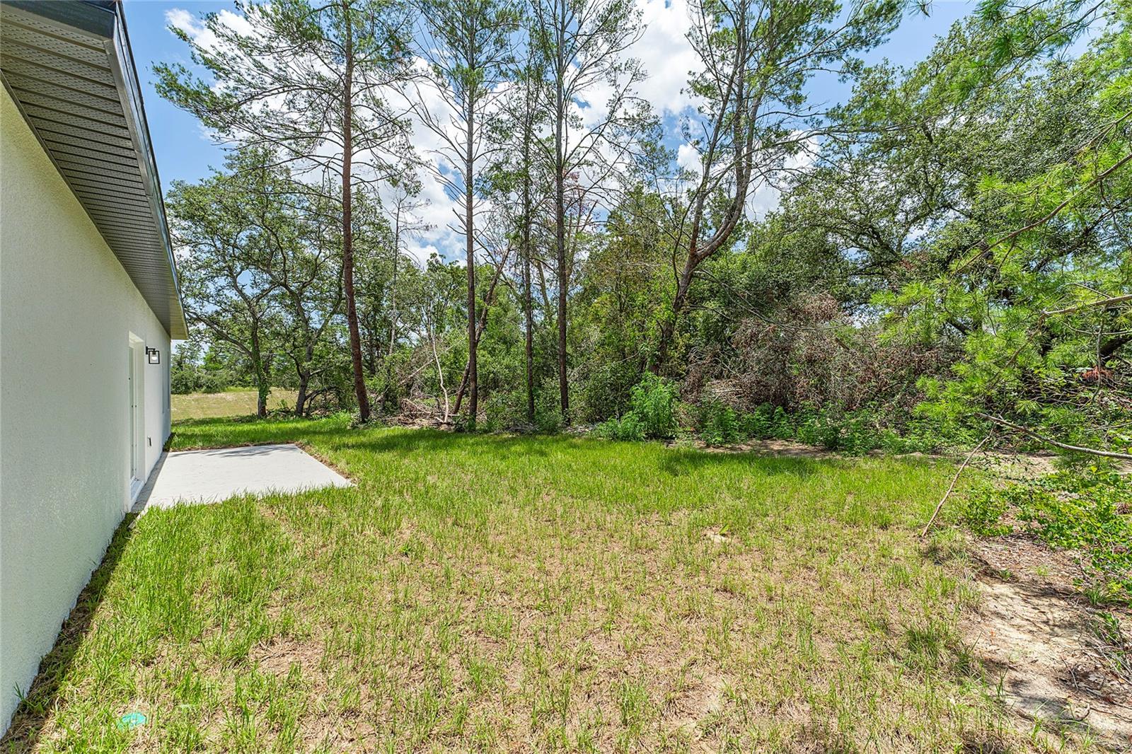16852 SW 41ST AVENUE RD, OCALA, FL, 34473