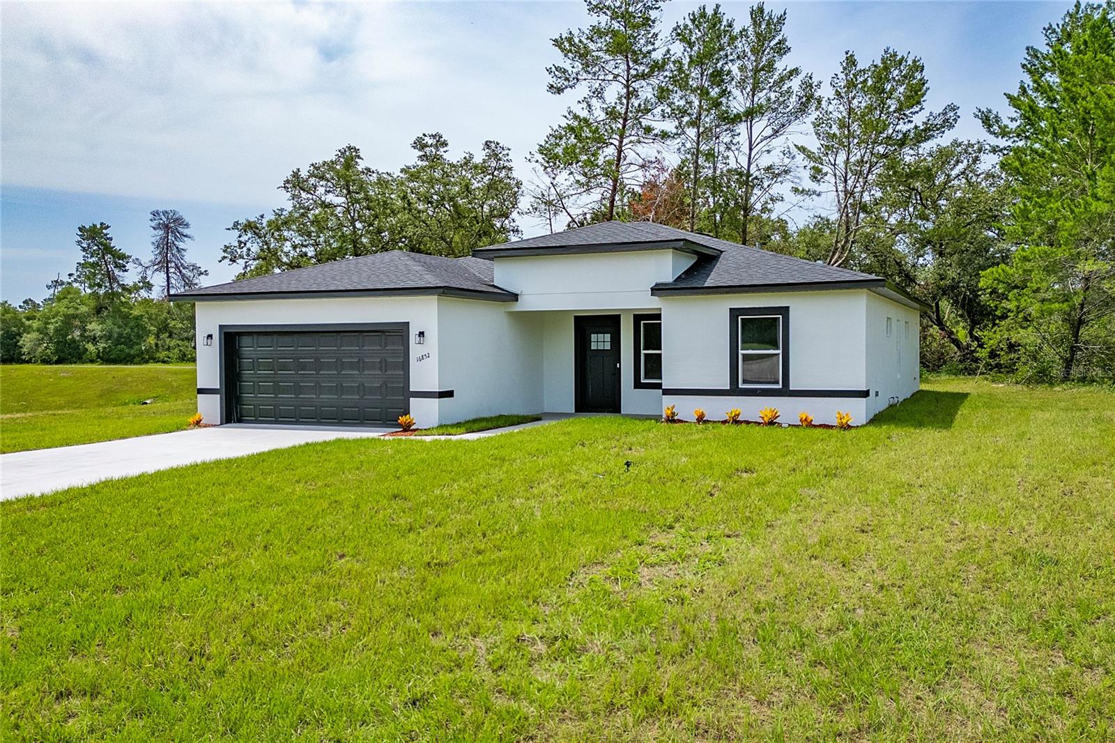 16852 SW 41ST AVENUE RD, OCALA, FL, 34473