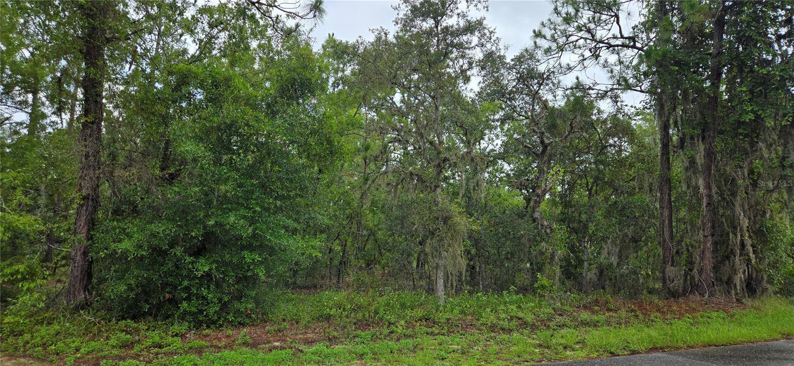 1308 N PROSPECT AVE, LECANTO, FL, 34461