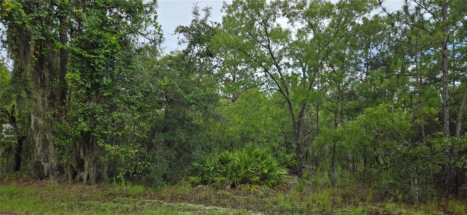 1308 N PROSPECT AVE, LECANTO, FL, 34461